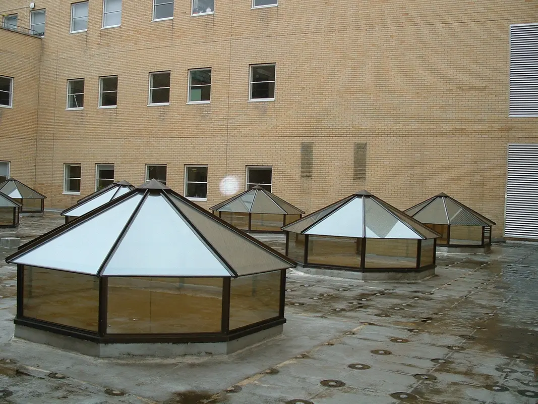 Flat Roof Skylights Soho